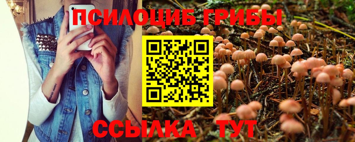 Галлюциногенные грибы Cubensis Аша
